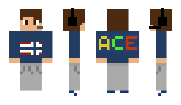 Minecraft skin Acerbi