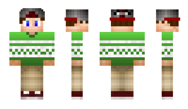 Minecraft skin pelluba