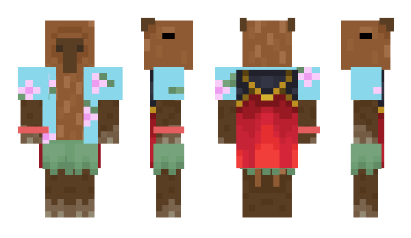 Minecraft skin BiGBearMing