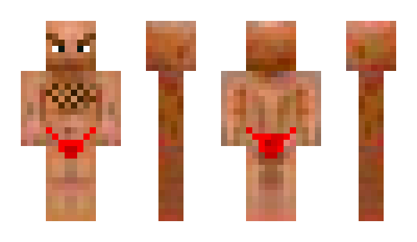 Minecraft skin Rovs