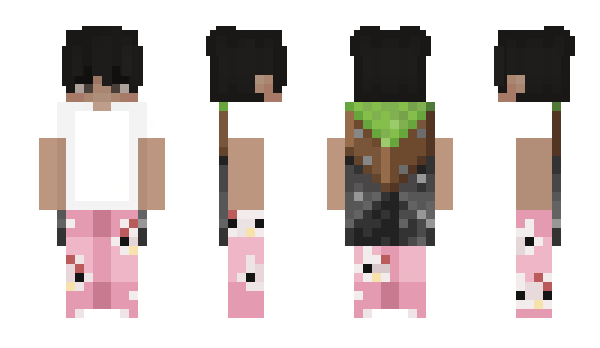 Minecraft skin bvhe