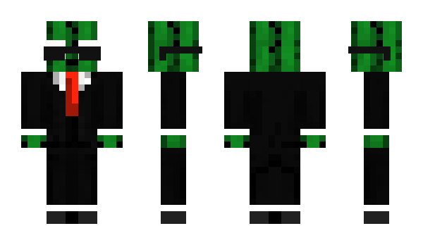 Minecraft skin Cactooo