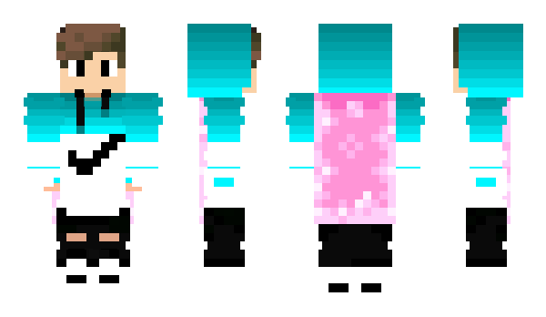 Minecraft skin wonderis