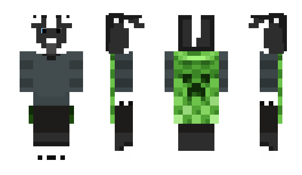 Minecraft skin Rapikol