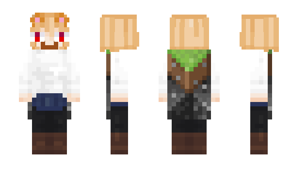 Minecraft skin O966