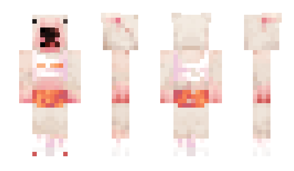 Minecraft skin Bibg