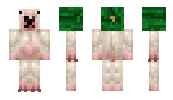Minecraft skin IWIF