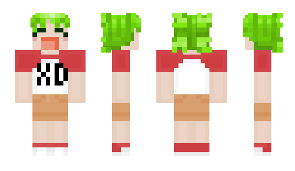 Minecraft skin 0lol