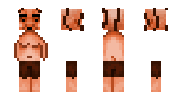 Minecraft skin nodvd
