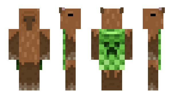 Minecraft skin StevilavaChickn