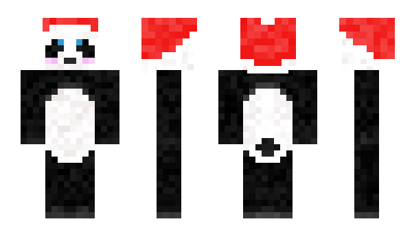 Minecraft skin DomDzi2