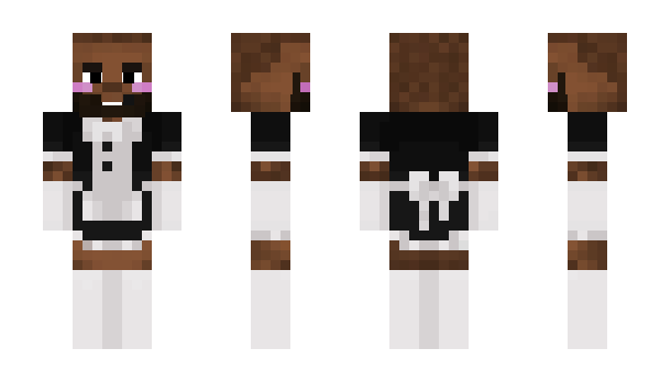 Minecraft skin Pigeonplayer