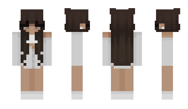 Minecraft skin Ambilou