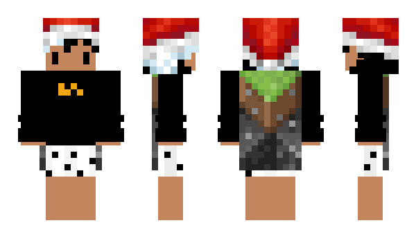 Minecraft skin IDmishel