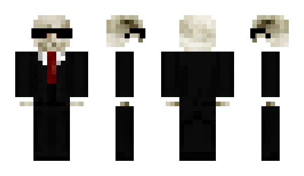 Minecraft skin 16max