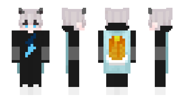 Minecraft skin SJ_79