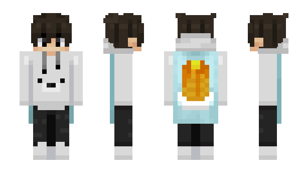 Minecraft skin MeDev02