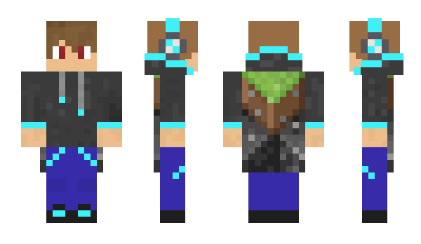 Minecraft skin vsm1sle