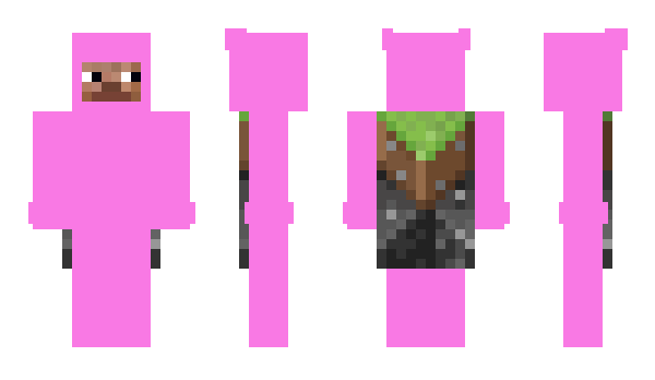 Minecraft skin imbrended