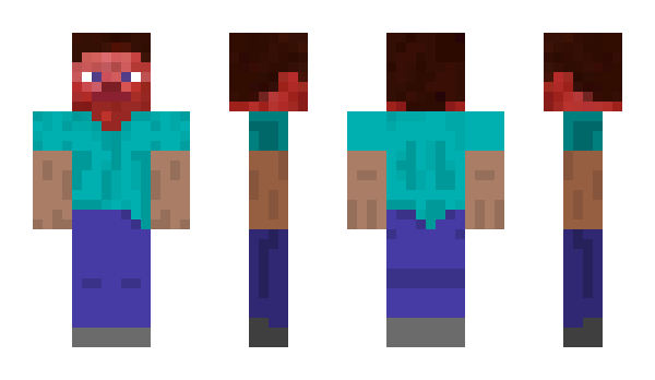 Minecraft skin awesome_chips
