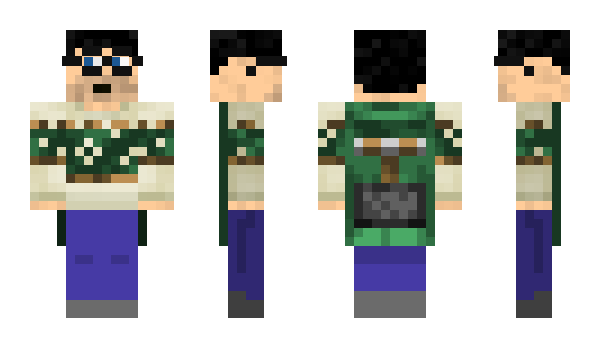 Minecraft skin pasaro