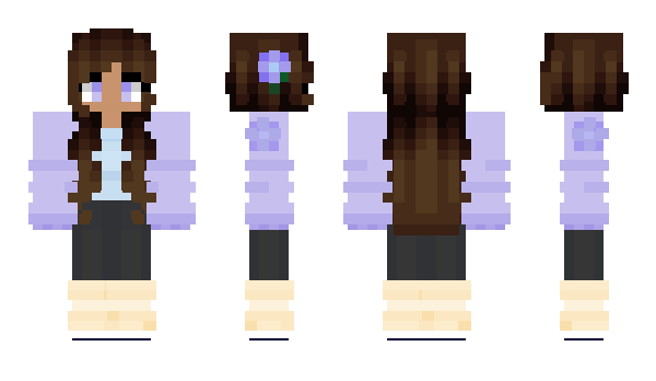 Minecraft skin TheNightFury