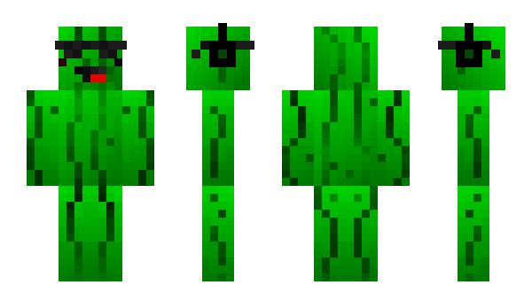 Minecraft skin hopperboom5
