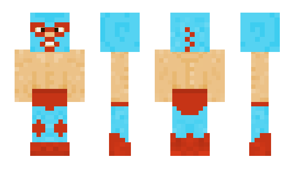 Minecraft skin anyallcat