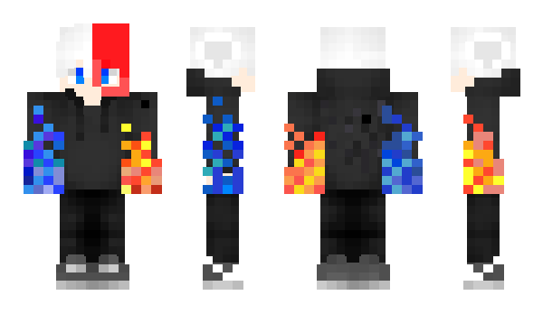 Minecraft skin lyonfa