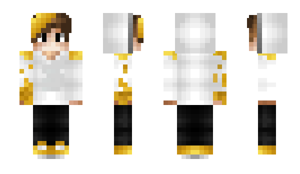 Minecraft skin RenderDragonn