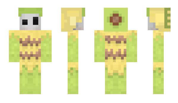 Minecraft skin Colocynth