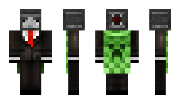 Minecraft skin PLTan