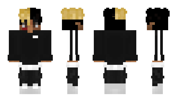 Minecraft skin KingDoggo