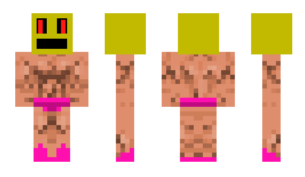 Minecraft skin susanne2012