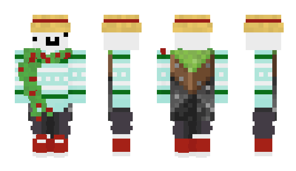 Minecraft скин по нику Hoppednic
