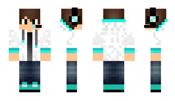 Minecraft skin mrwooflles