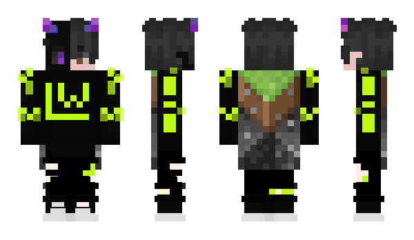 Minecraft skin Werebys