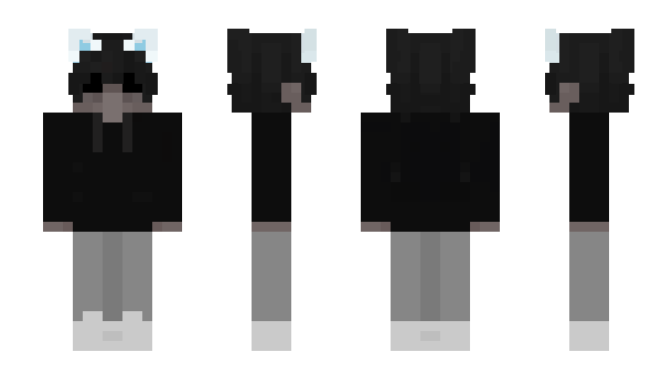 Minecraft skin _Ravy