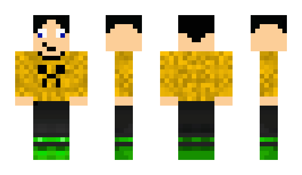 Minecraft skin minecraftfifi