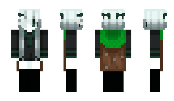 Minecraft skin persuadir