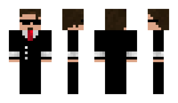 Minecraft skin zin1