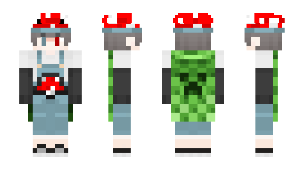 Minecraft skin Qinoqo