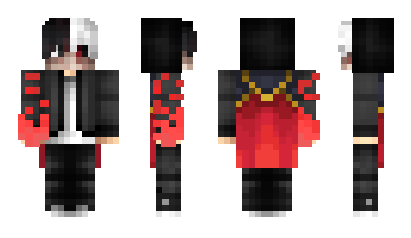 Minecraft skin FlashSK