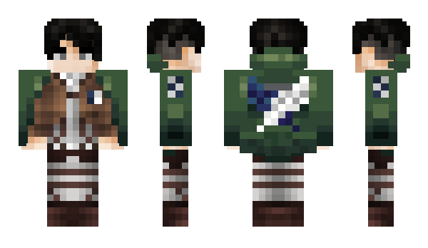 Minecraft skin TR1st