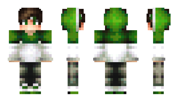 Minecraft skin Zefiz