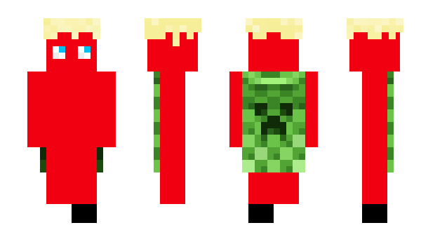 Minecraft skin _Blakus