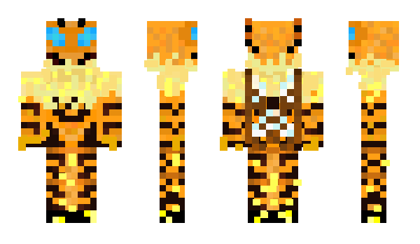 Minecraft skin Enjambrazon