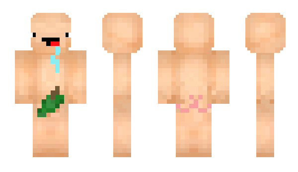 Minecraft skin Toroe