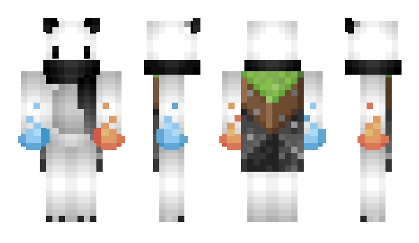 Minecraft skin Neer_