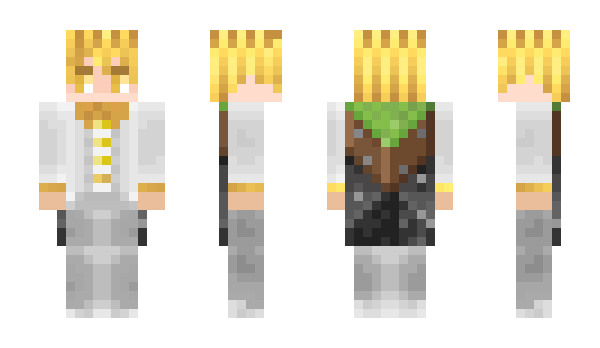 Minecraft skin Vanjac
